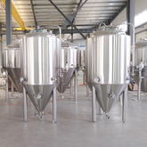 7BBL المعدات المستخدمة ميكروبريويري البيرة نظام تخمر مع شهادة CE.UL
